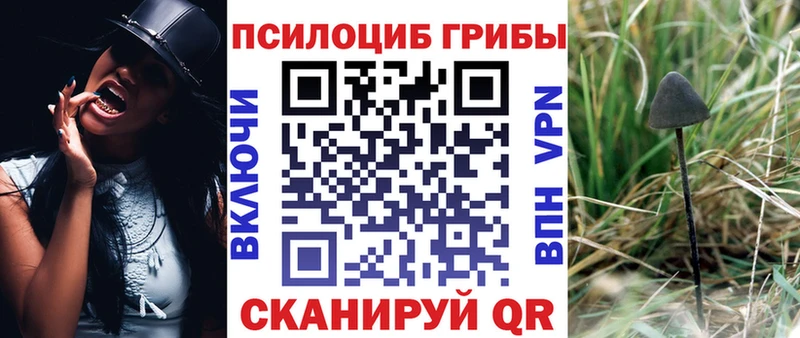 Купить закладки  Трубчевск  Псилоцибиновые грибы мицелий 